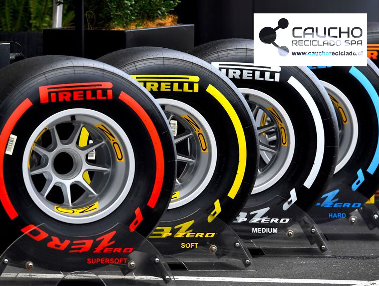 Pirelli produce un neumático con certificación FSC