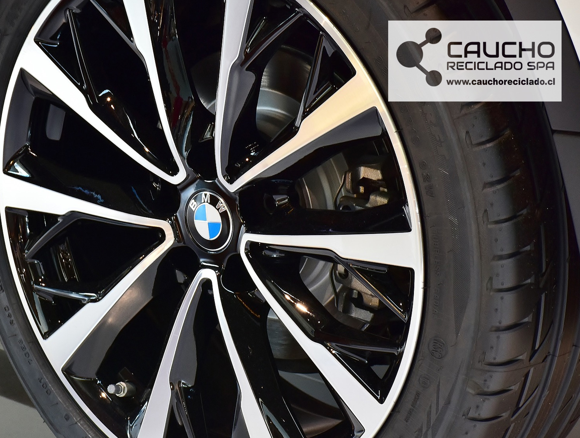 BMW incorpora el neumático ecológico FSC