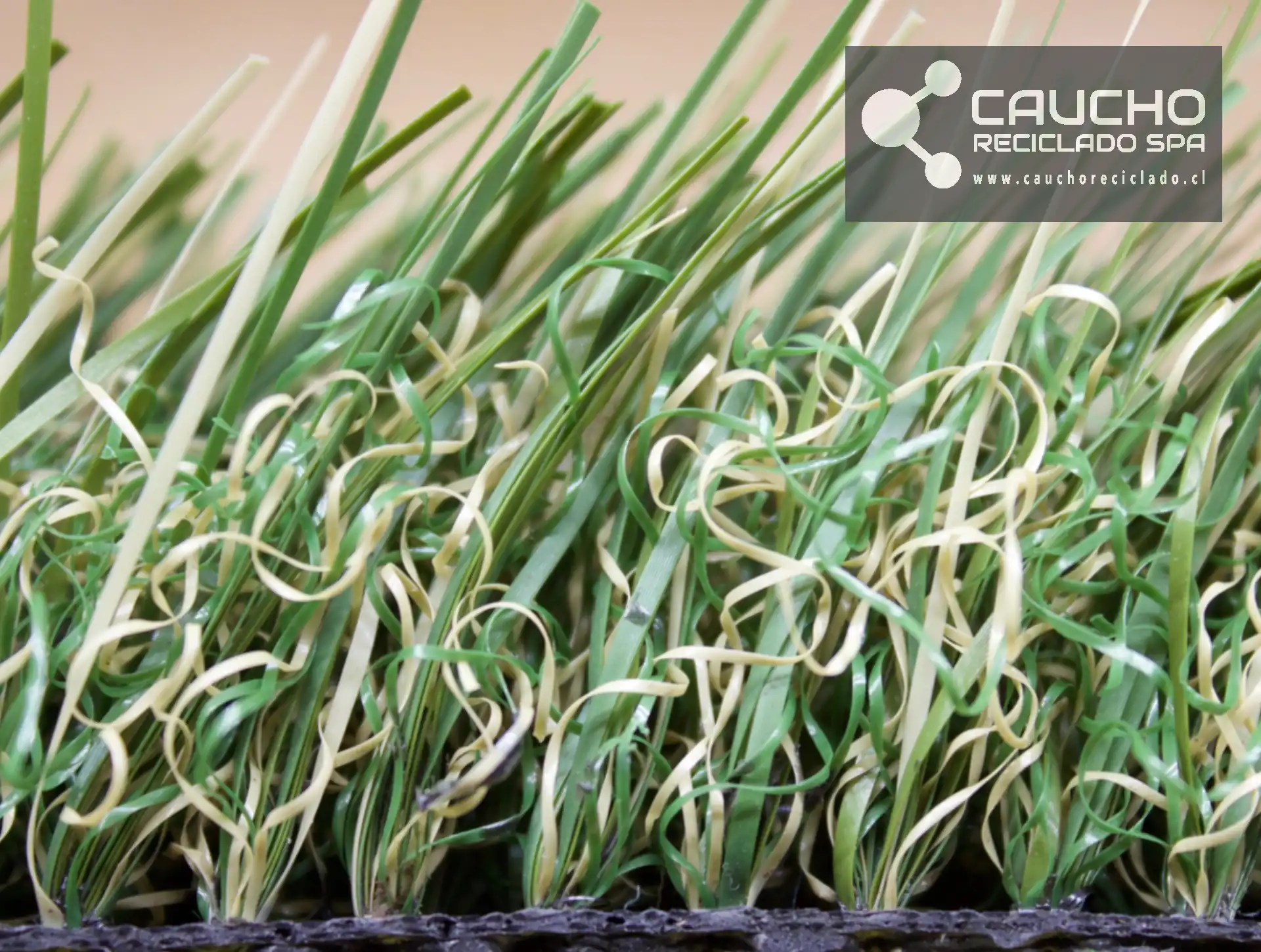 Mitos y Verdades sobre el Pasto Artificial: Guía Completa 2024