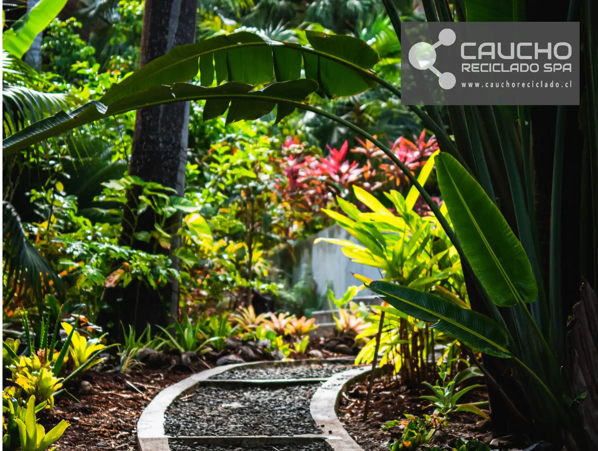 Mulch de Caucho Reciclado: La Solución Sostenible para Jardines con Césped Artificial