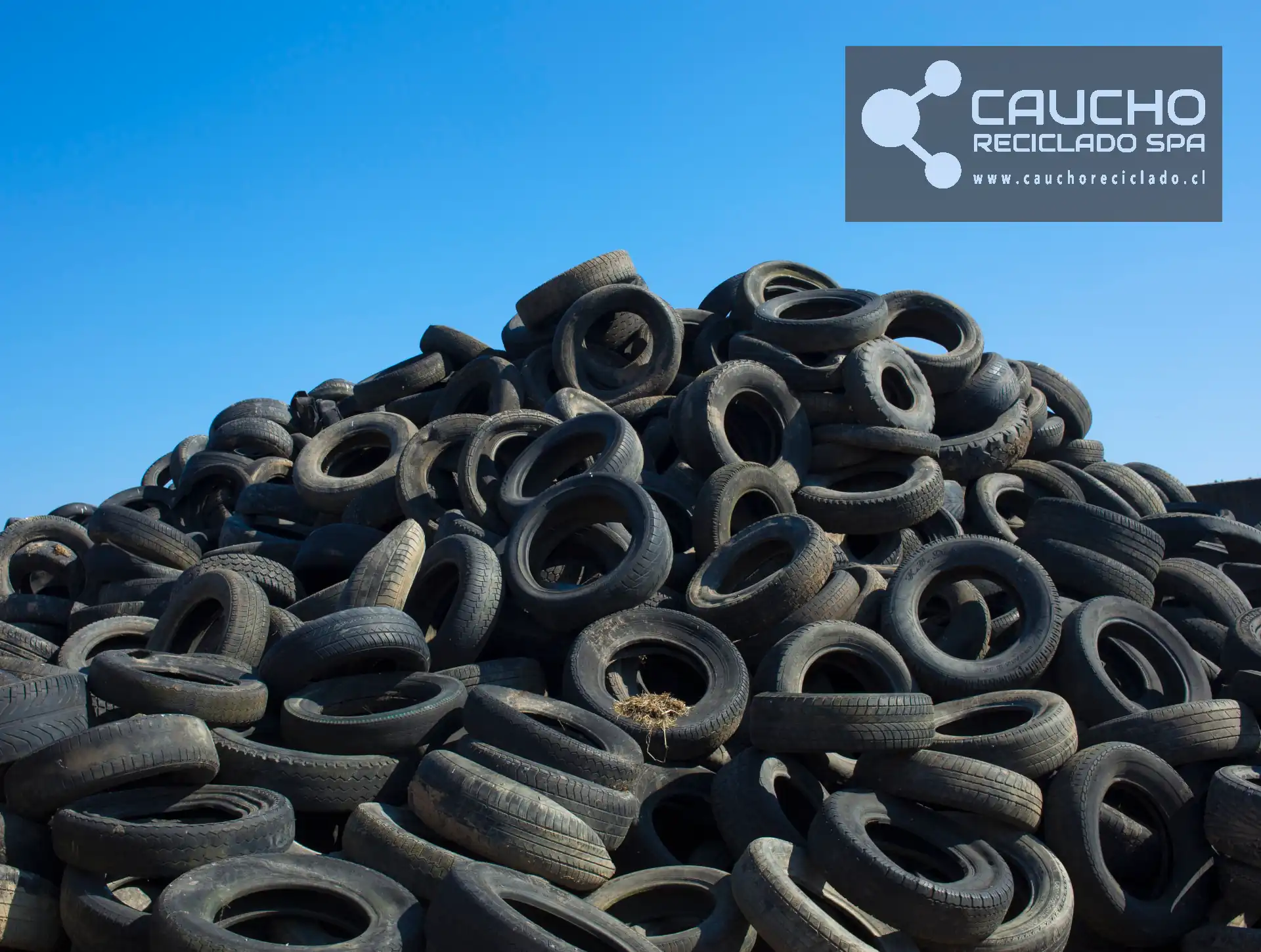 Mulch de Caucho Reciclado para Caballerizas: Beneficios y Ventajas Completas